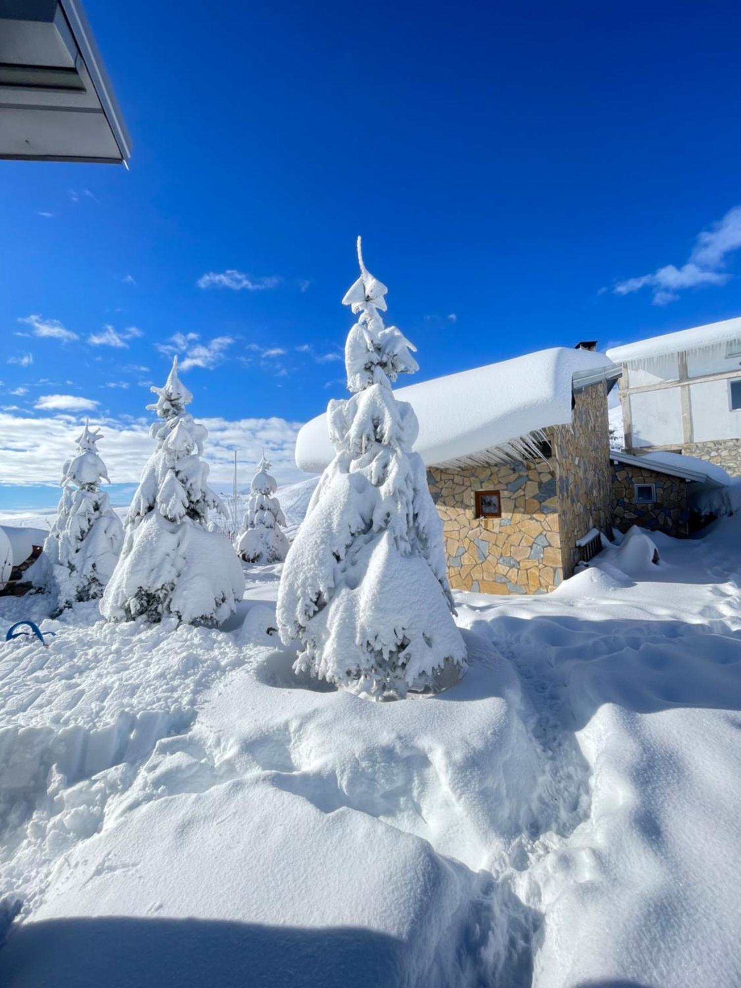 Villa 80 Kodra E Diellit Tetovo Extérieur photo